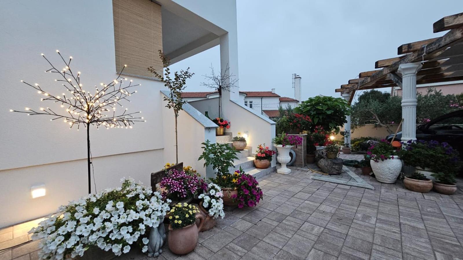Apartment Leilani & Karolina Vrsi Exterior foto